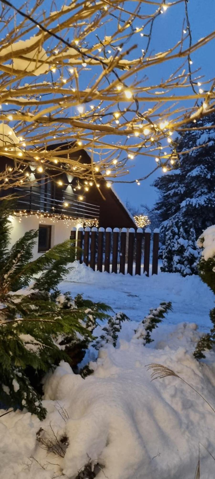 Apartament Willa Pod Sosnami Zator Przeciszów Exterior foto